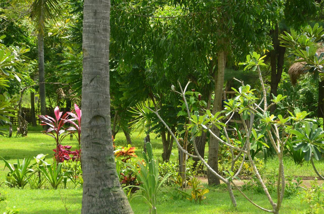 Amigos Bungalows Gili Meno Exterior foto
