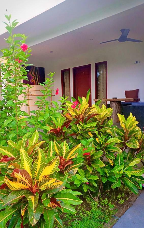 Amigos Bungalows Gili Meno Exterior foto